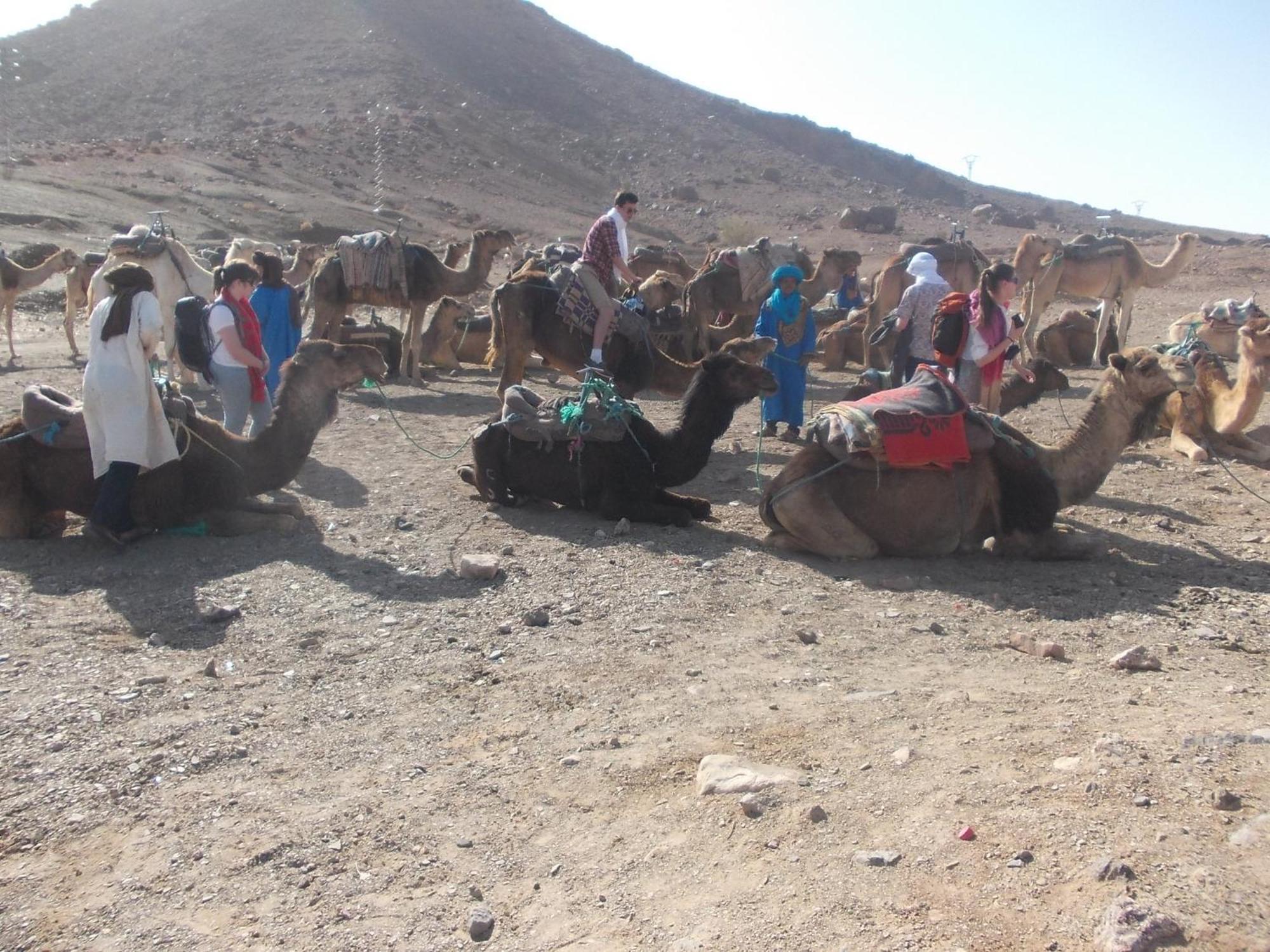 Bivouac Draa Hotel Zagora Kültér fotó